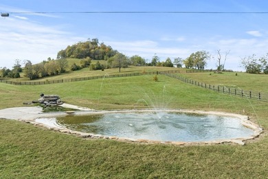 This unique, one of a kind, property is nestled in the hills of - photo 32