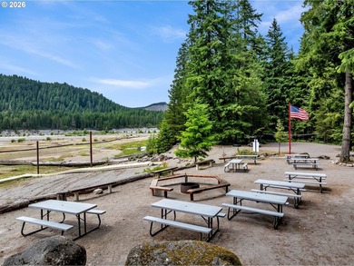 Experience off grid living with this spectacular 1,068 sqft, 3 - photo 33