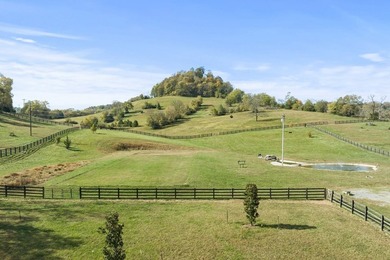 This unique, one of a kind, property is nestled in the hills of - photo 36