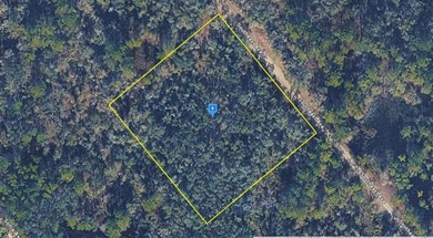 Withlacoochee River Acreage For Sale in Webster Florida