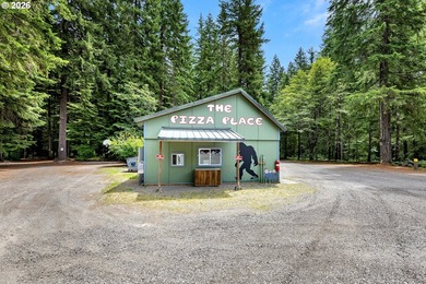 Experience off grid living with this spectacular 1,068 sqft, 3 - photo 41