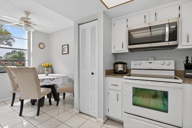Beautiful FIRST floor unit, soothing colors, bright and airy! - photo 13