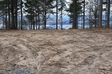 Welcome to this incredible Lot located in River Gorge Ranch- - photo 14