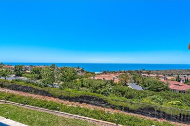 Stunning 180-degree, panoramic ocean, Catalina & sunset views - photo 37