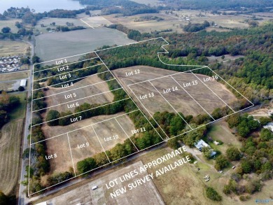 Lake Lot For Sale in Langston, Alabama