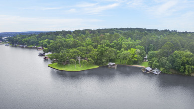 HOUSTON COUNTY LAKE RETREAT! - photo 3