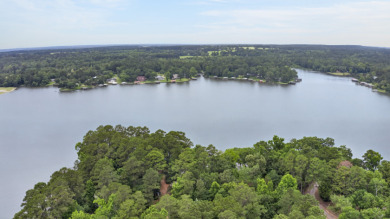 HOUSTON COUNTY LAKE RETREAT! - photo 4