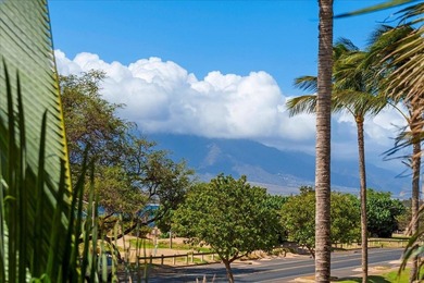 Front Row Ocean Views - Repriced for Unmatched Value. Experience - photo 30