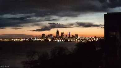 Experience breathtaking, panoramic views of Downtown Cleveland - photo 36