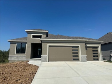 (private lake, pond, creek) Home For Sale in Greenwood Missouri