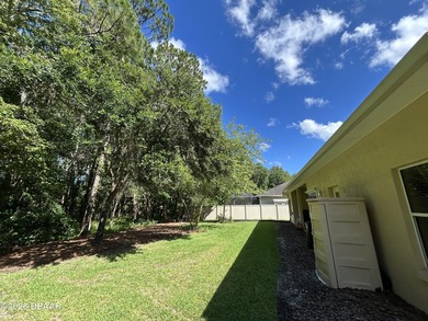 RARE VANACORE CYPRESS II floor plan on PRESERVE LOT w/tons of - photo 18