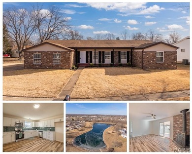 (private lake, pond, coastal) Home Sale Pending in Florissant Missouri