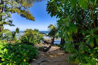Located on a quiet stretch of one of Kauai's incredible North - photo 28