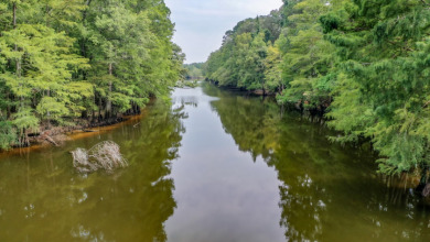 Big Cypress River - Main House w/Extra Income Properties - photo 3