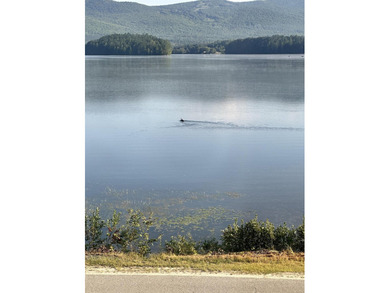 Wake up to beautiful views of Island Pond from this - photo 38