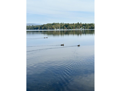 Wake up to beautiful views of Island Pond from this - photo 40