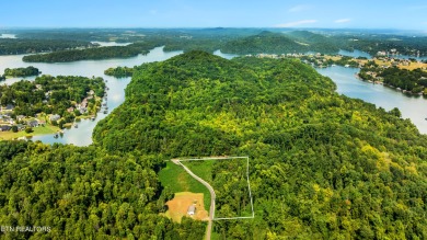 Tellico Lake Acreage For Sale in Vonore Tennessee