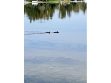Wake up to beautiful views of Island Pond from this - photo 41