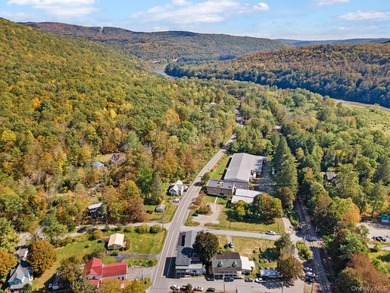Welcome to 11625 State Route 97 in Long Eddy...where space - photo 42