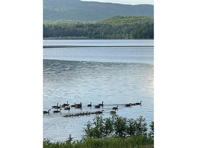 Wake up to beautiful views of Island Pond from this - photo 42