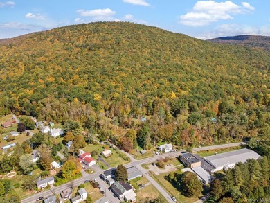 Welcome to 11625 State Route 97 in Long Eddy...where space - photo 43
