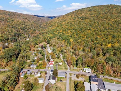 Welcome to 11625 State Route 97 in Long Eddy...where space - photo 44