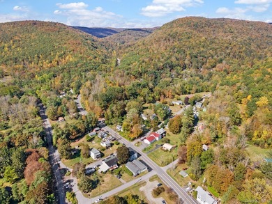 Welcome to 11625 State Route 97 in Long Eddy...where space - photo 45