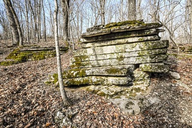 This 37.7 acre property in Barry County, Missouri offers a - photo 50