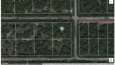 Lake George Lot For Sale in Georgetown Florida