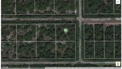 Lake Lot Off Market in Georgetown, Florida