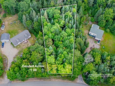 Little Wolf Pond Lot For Sale in Tupper Lake New York