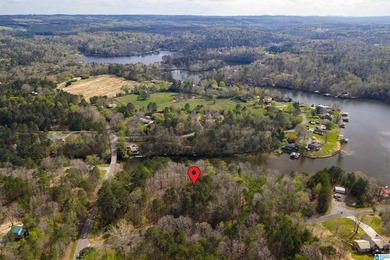 Looking for lakefront property? Here you go! 300' of lakefront - photo 11