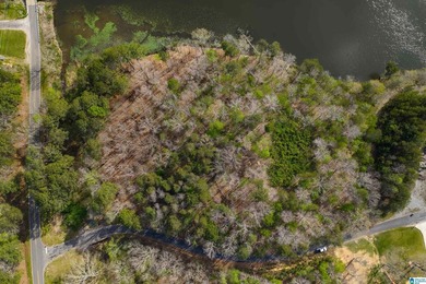 Looking for lakefront property? Here you go! 300' of lakefront - photo 12