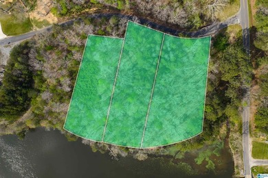 Looking for lakefront property? Here you go! 300' of lakefront - photo 13