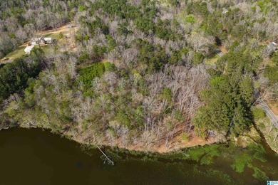 Looking for lakefront property? Here you go! 300' of lakefront - photo 14