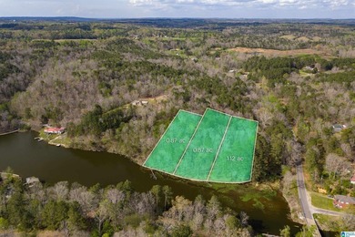 Looking for lakefront property? Here you go! 300' of lakefront - photo 15