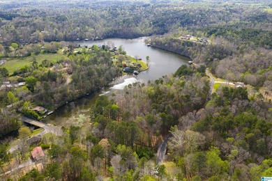 Looking for lakefront property? Here you go! 300' of lakefront - photo 16