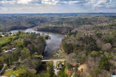 Looking for lakefront property? Here you go! 300' of lakefront - photo 17