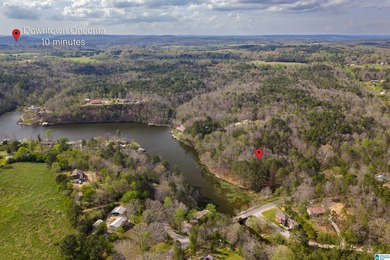 Looking for lakefront property? Here you go! 300' of lakefront - photo 18
