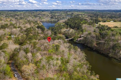 Looking for lakefront property? Here you go! 300' of lakefront - photo 19