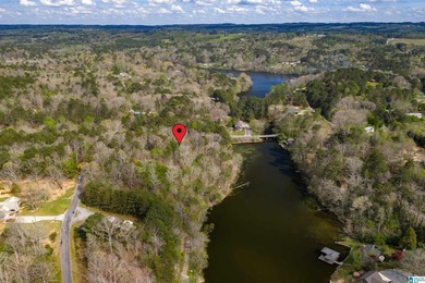 Looking for lakefront property? Here you go! 300' of lakefront - photo 20