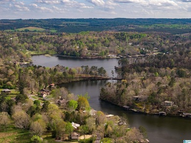 Looking for lakefront property? Here you go! 300' of lakefront - photo 21