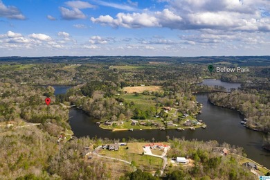 Looking for lakefront property? Here you go! 300' of lakefront - photo 22
