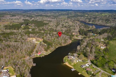 Looking for lakefront property? Here you go! 300' of lakefront - photo 23
