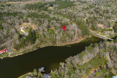 Looking for lakefront property? Here you go! 300' of lakefront - photo 24