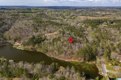 Looking for lakefront property? Here you go! 300' of lakefront - photo 25