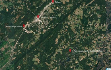 Looking for lakefront property? Here you go! 300' of lakefront - photo 26
