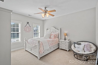Tucked within the highly desirable Treetops at Cowans Ford - photo 26