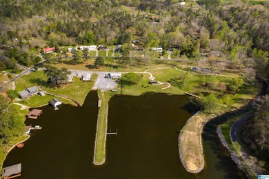 Looking for lakefront property? Here you go! 300' of lakefront - photo 28