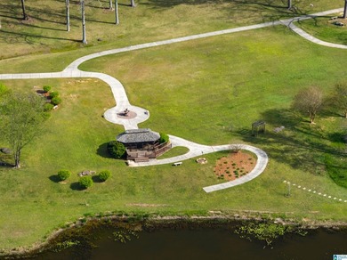 Looking for lakefront property? Here you go! 300' of lakefront - photo 29